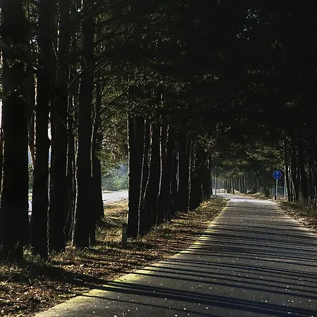 Prie Juros Affittacamere Palanga