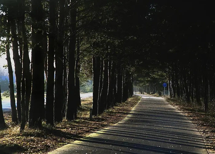 Prie Juros Гостьовий будинок Паланга